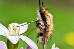 00f767c1-ad60-42ec-afd3-07a3ee48acf1