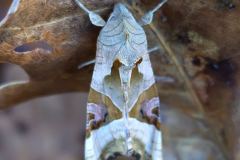 3fbc354b-fc94-49ad-82b1-db78531a5757