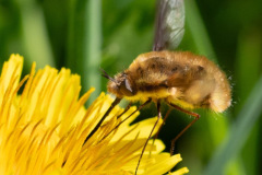 59ce4956-7f81-43ab-8e26-f976a0100baf