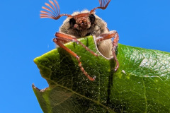 69e5bb27-ede0-40f6-bfda-62c748e10ad9