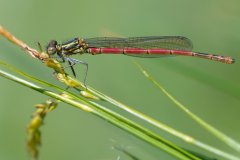 7d91b581-b134-4ae1-a80c-139c28627aa0