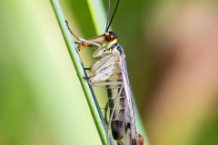 7edeccaf-56d3-44e5-a5cd-b2c504381214-1