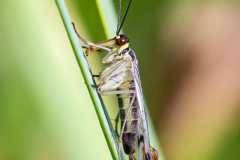 7edeccaf-56d3-44e5-a5cd-b2c504381214