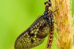 aa5a04c4-b183-4615-b918-611ddc5aaec0