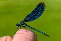 afd904a5-e97c-40ac-aedb-0357721a6d10