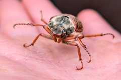 b18ad549-d4ad-4f98-9b39-399a71cd018a