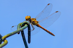 cc5f53a2-3335-4e13-9c72-447af96c5202