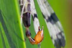 e748096a-d29d-4871-9252-d26e7ab2f4c9