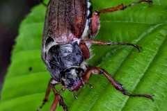 f09587e4-0001-418a-9cda-48d001984335